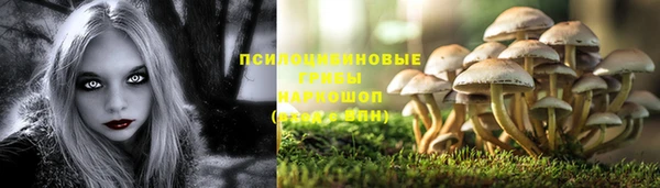круглые Каменногорск