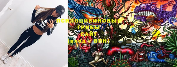 круглые Каменногорск