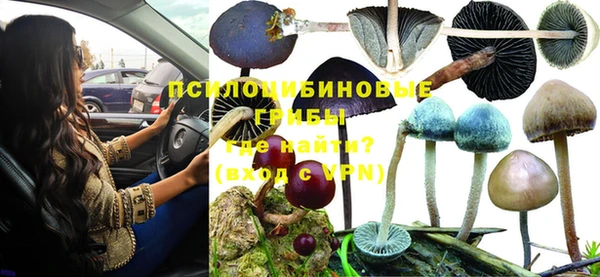 круглые Каменногорск